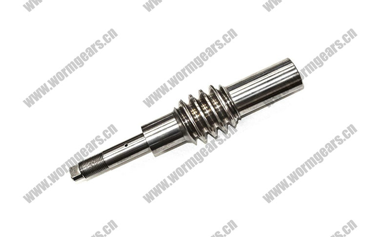 Motor Worm Gear