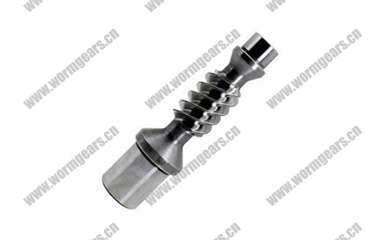 Worm and Gear Drive
