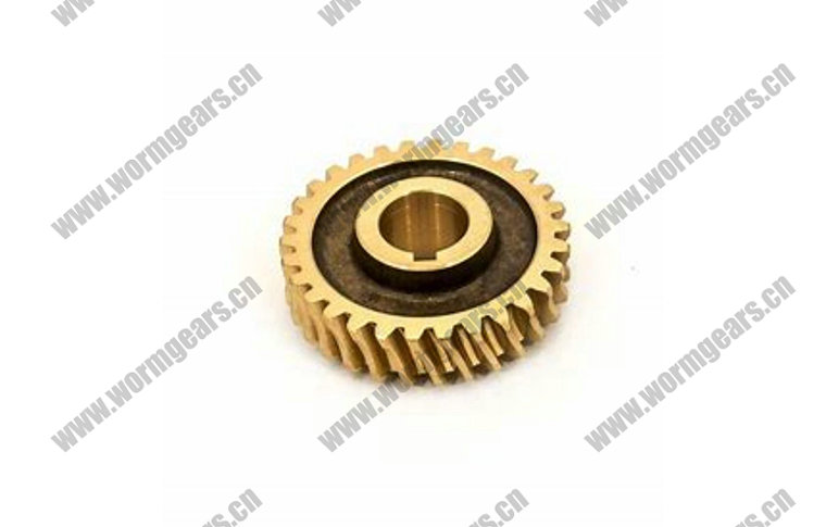 Premium Worm Wheel Motor for Gear Systems