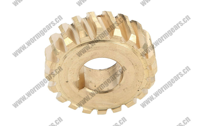 Various Worm Wheels