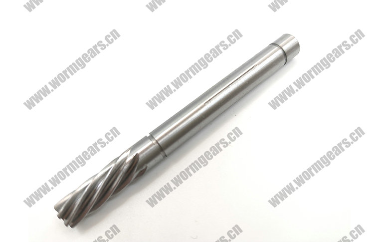 Treadmill & Power Tool Worm Shaft