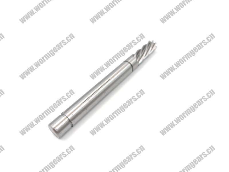 Treadmill & Power Tool Worm Shaft