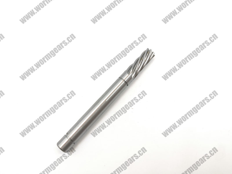 Treadmill & Power Tool Worm Shaft