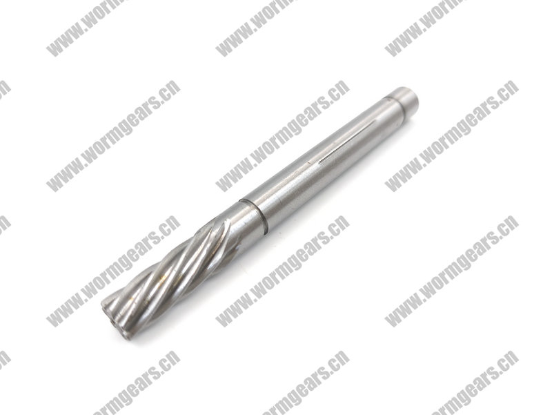 Treadmill & Power Tool Worm Shaft