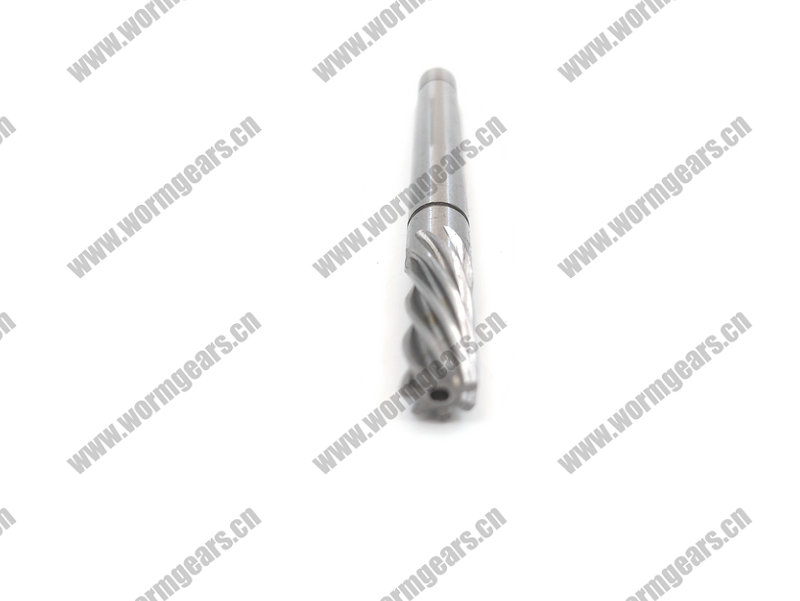 Treadmill & Power Tool Worm Shaft