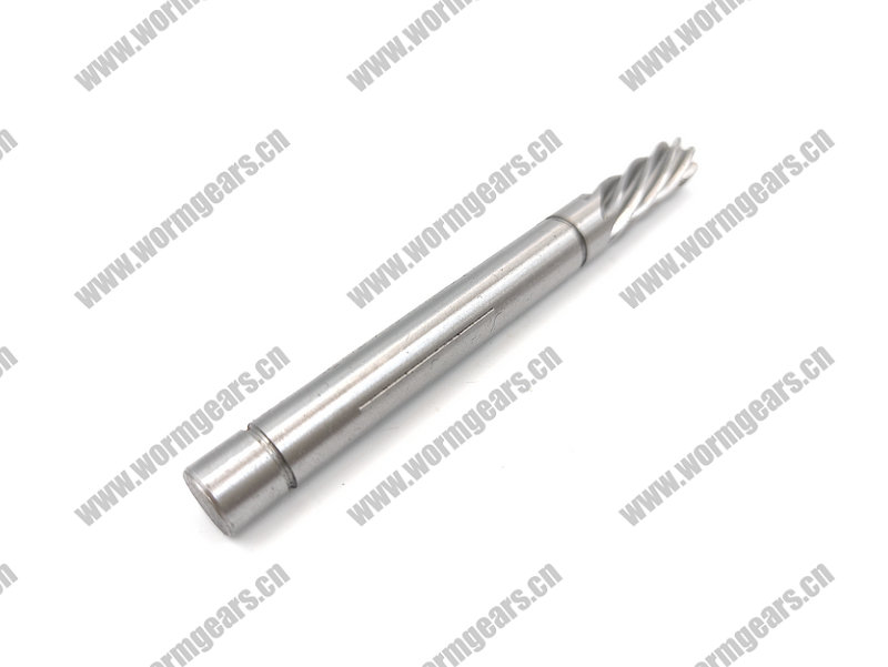 Treadmill & Power Tool Worm Shaft