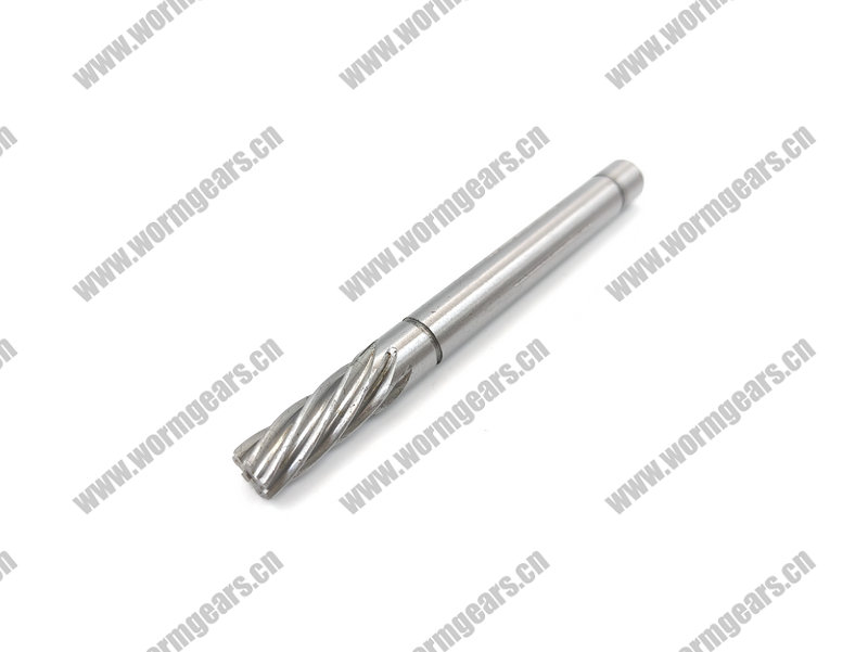Treadmill & Power Tool Worm Shaft