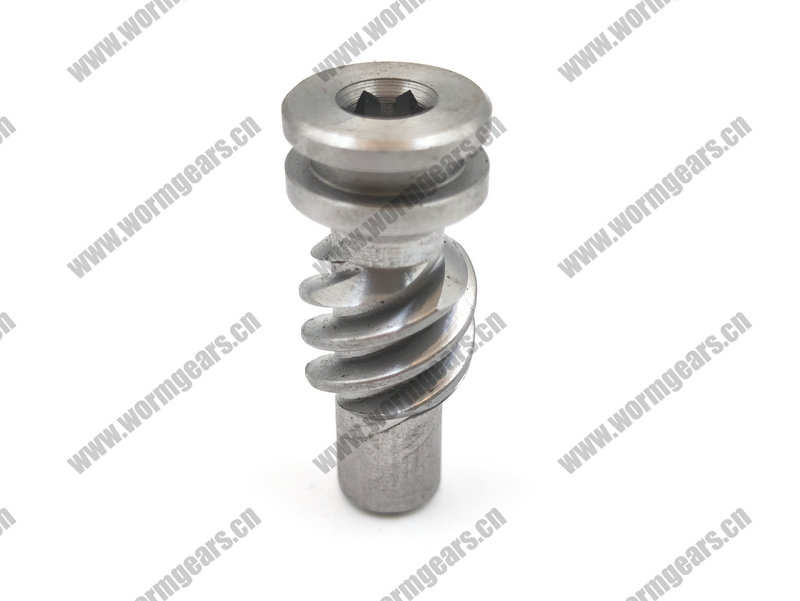 Worm Gear for Automatic Door