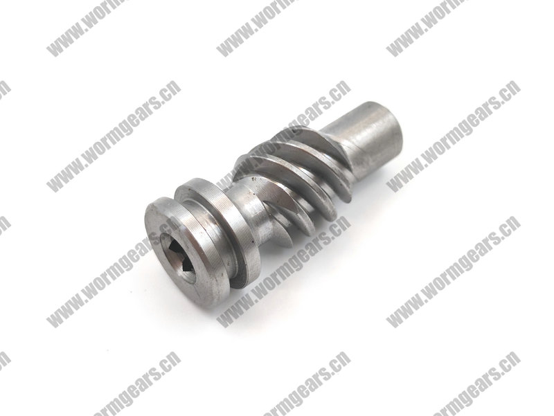 Worm Gear for Automatic Door