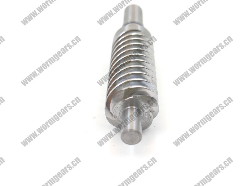 Automotive Scissor Door Worm Gear
